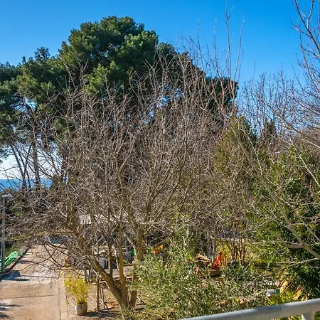 Διαμέρισμα Manto Free Parking Ρόβινι